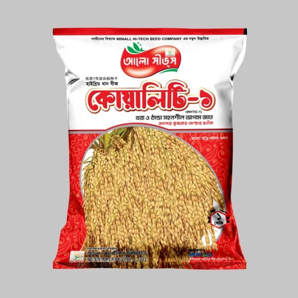 কোয়ালিটি-১ (WHTIC-1) হাইব্রিড ধান বীজ – খরা ও তাপ সহনশীল উচ্চ ফলনশীল আমন জাত